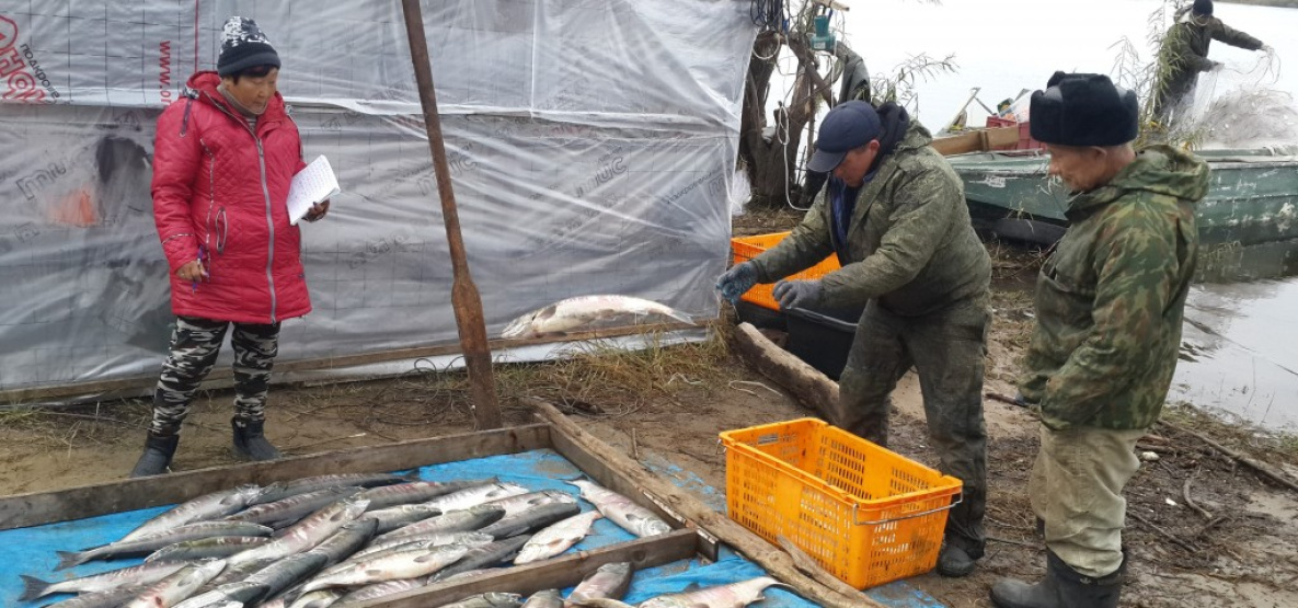 Хабаровские рыбаки могут оформить улов через Госуслуги
