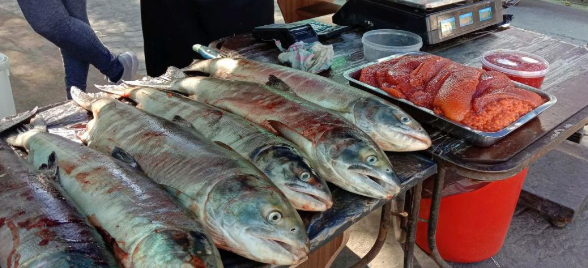 Нелегальную рыбу в Хабаровске продают по цене законного улова