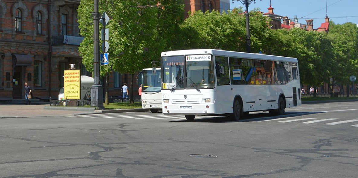 Мэр Хабаровска предложил ввести для общественного транспорта единый цвет