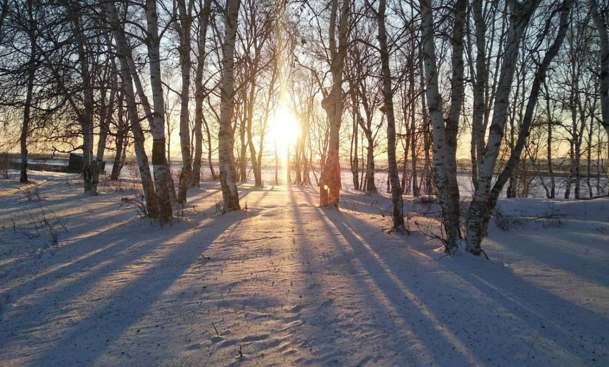 Сильные морозы в Хабаровском крае сменят тепло и снегопады