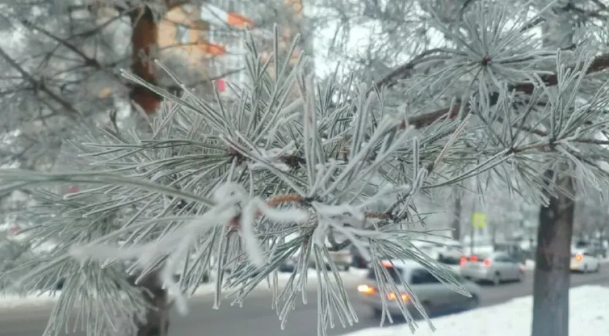 Первая рабочая неделя февраля начнётся с благоприятной погоды