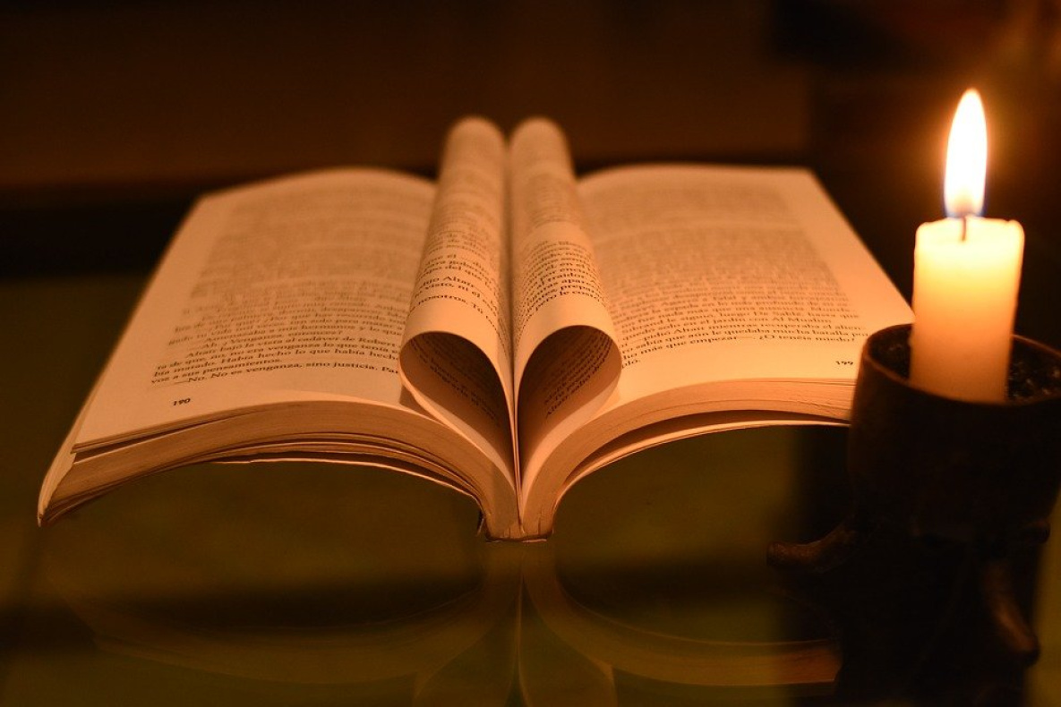 В Хабаровске на «Библионочь-2021» ожидают длинных очередей