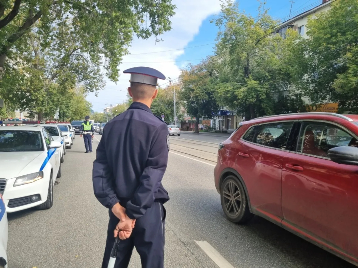 Хабаровчане смогут предъявить ГАИ водительские права через мессенджер МАКС