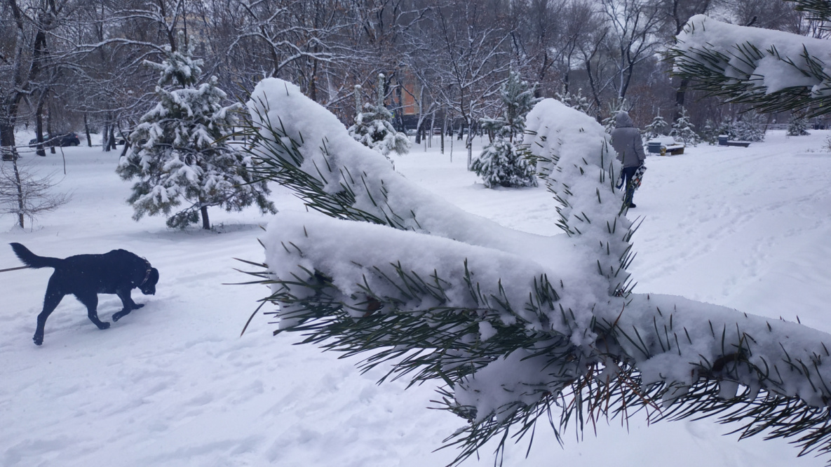 Больше половины месячной нормы снега уже выпало в Хабаровске