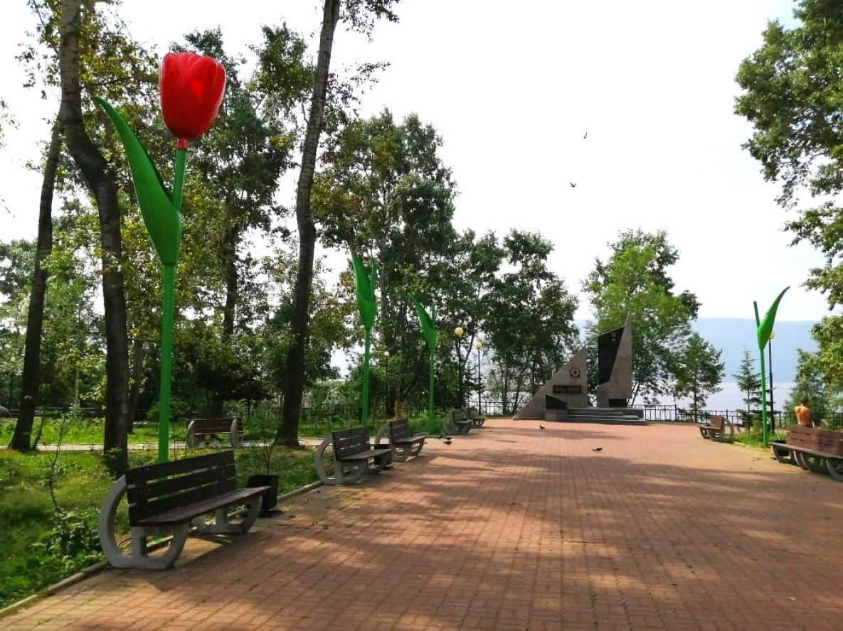 В Николаевске-на-Амуре «распускаются» шестиметровые лилии