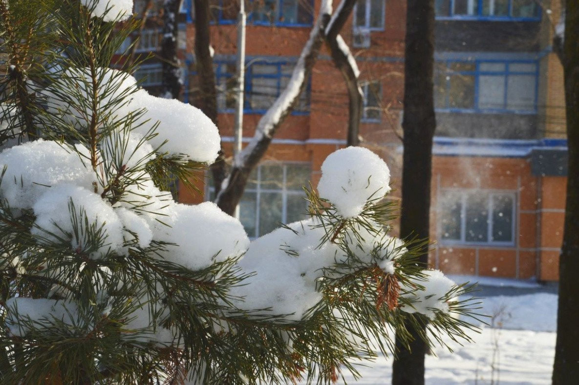 Прогноз на 14 января: погода в Хабаровском крае характер не поменяет