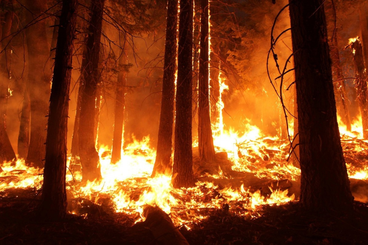 Ситуация с лесными пожарами ухудшается в Хабаровском крае
