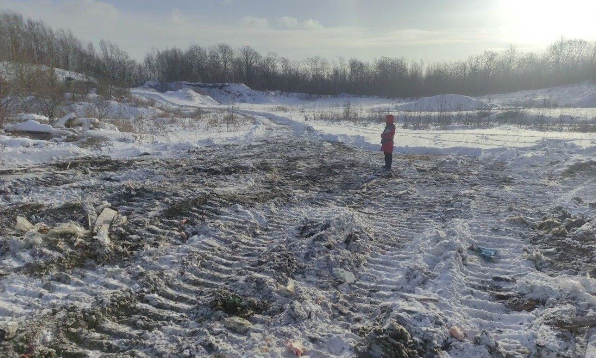 В Амурском районе прокуроры добились ликвидации свалок в лесах
