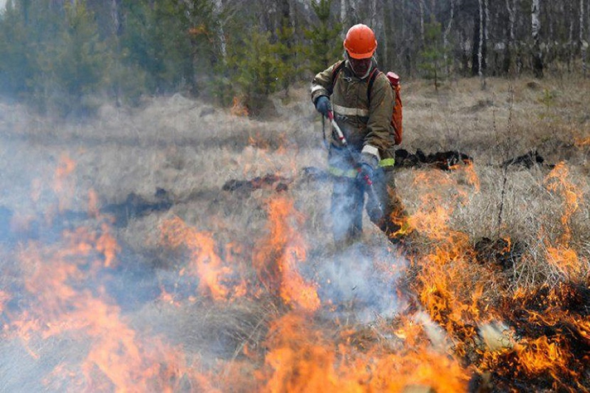 Грозовые пожары начались в Хабаровском крае 