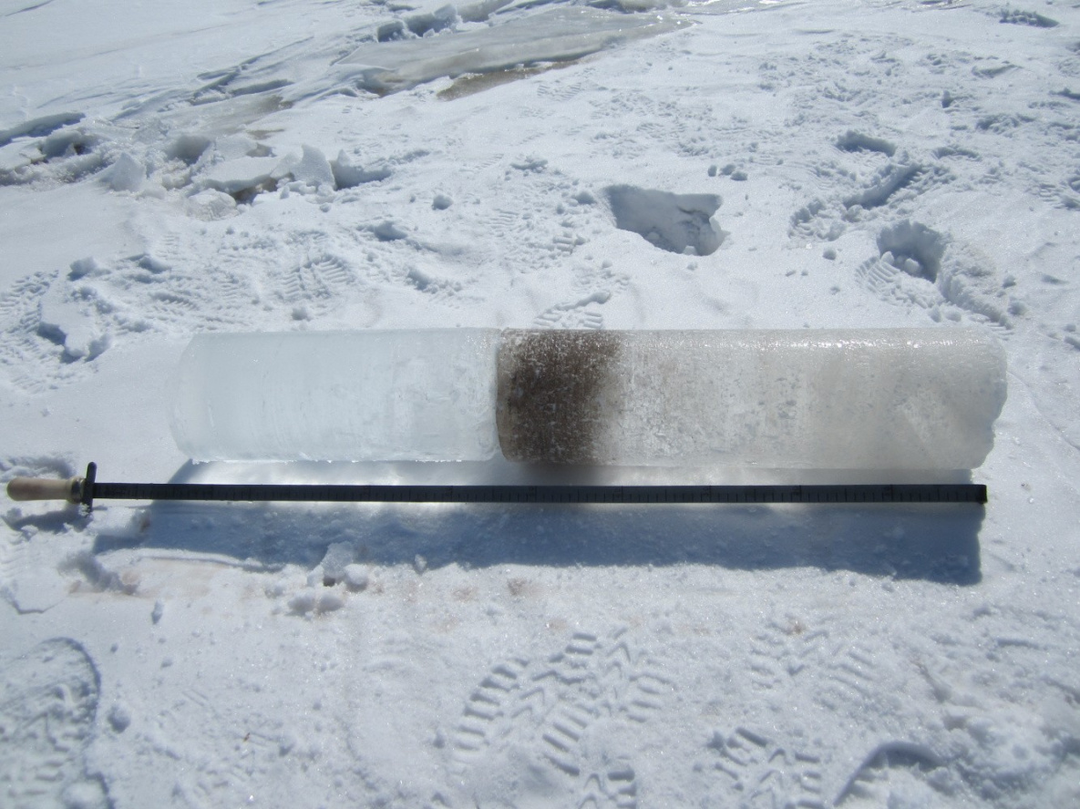 Загрязнение Амура начали изучать по химическому анализу льда