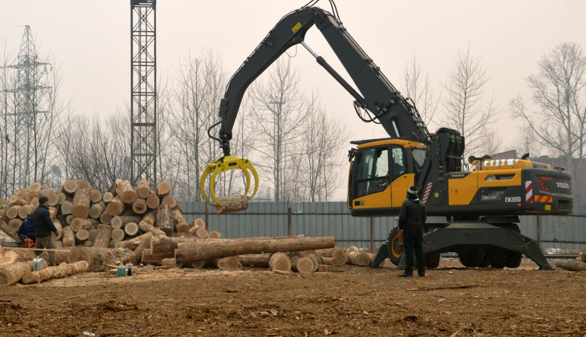 Губернатор Демешин распорядился снизить экспорт древесины