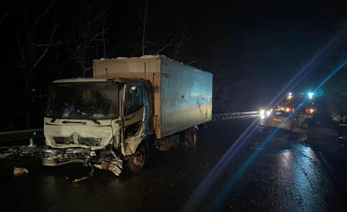 Пассажирка погибла в лобовом ДТП с грузовиком в Хабаровском районе