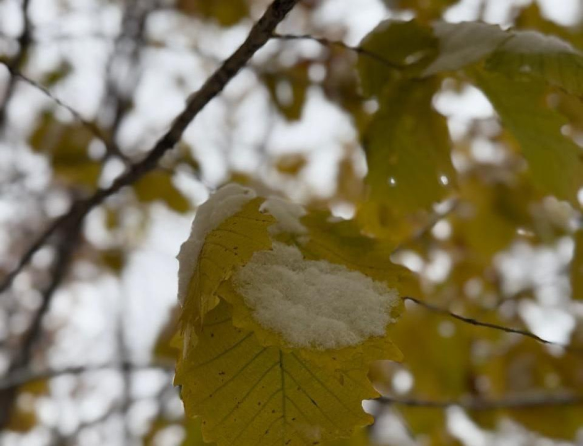 Плюсовые температуры ещё задержатся в Хабаровском крае