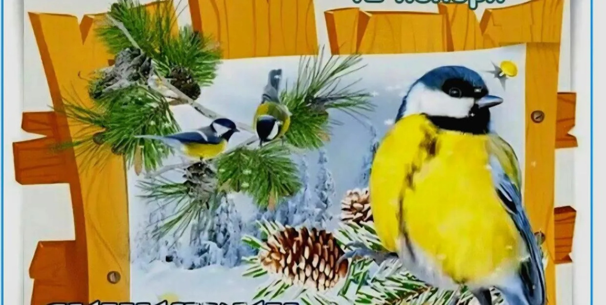 В зоосад «Приамурский» позвали покормить птиц в окрестностях Хабаровска