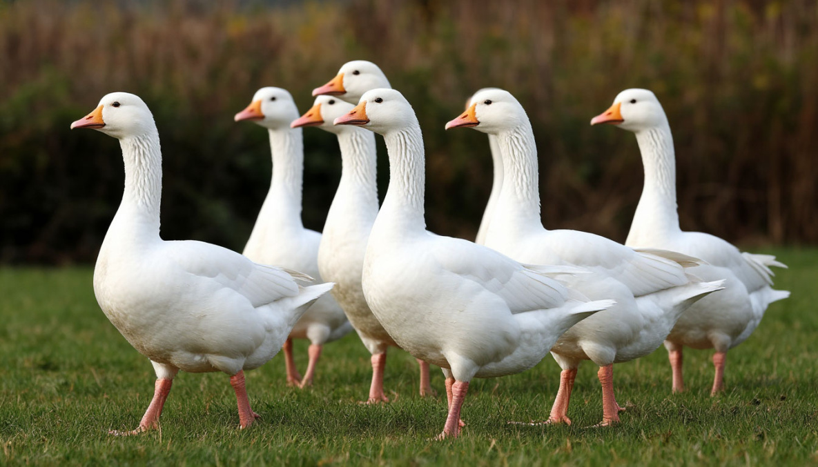 Народные приметы на 10 июня: сегодня не нужно звать гостей в свой дом