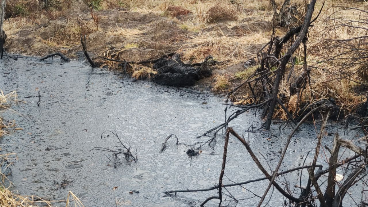 В пригороде Хабаровска вновь жалуются на растёкшиеся нефтепродукты