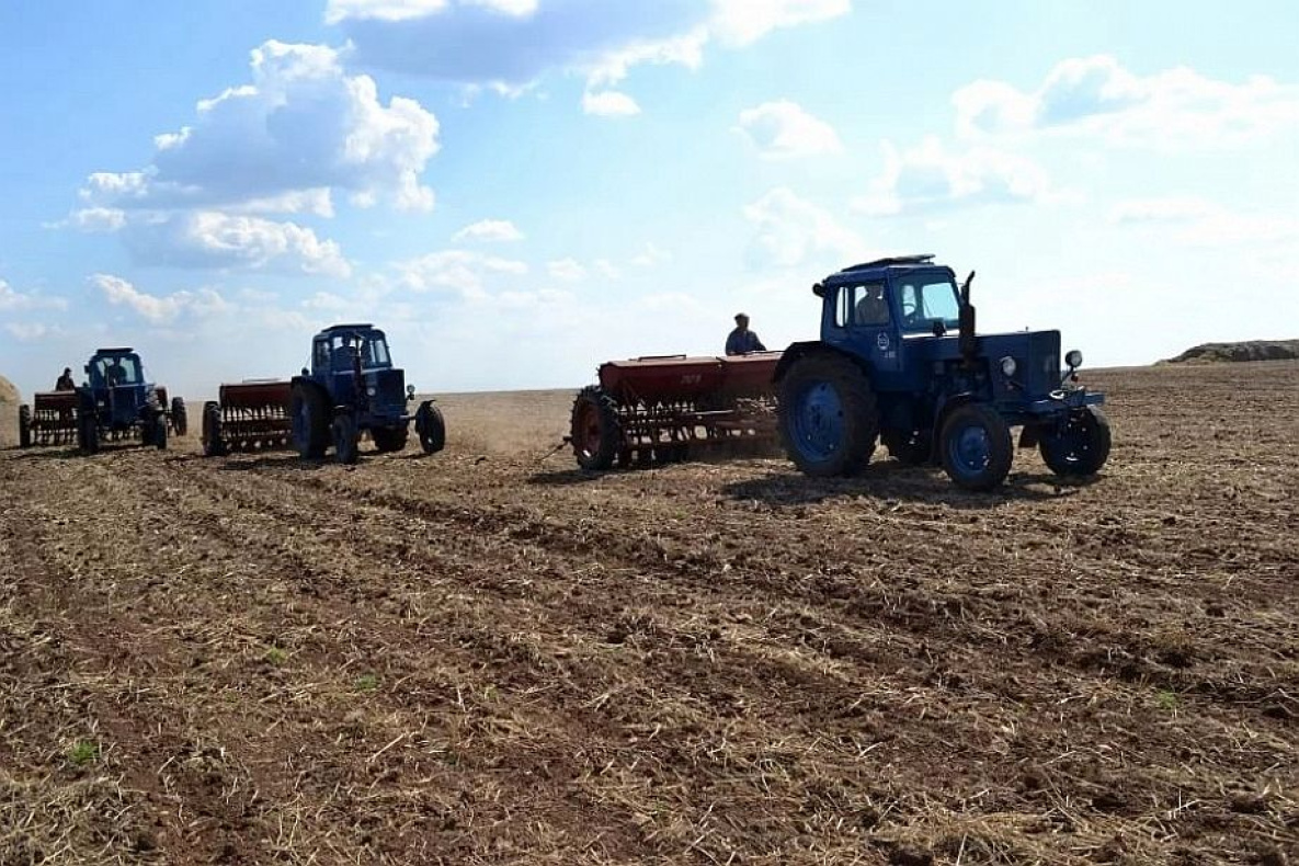 Российских экспортёров сельхозпродукции поддержат суммой в 4 млрд рублей