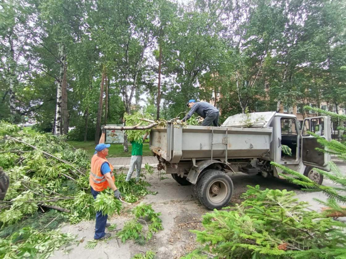 Юг Хабаровского края восстанавливается после разрушительного циклона
