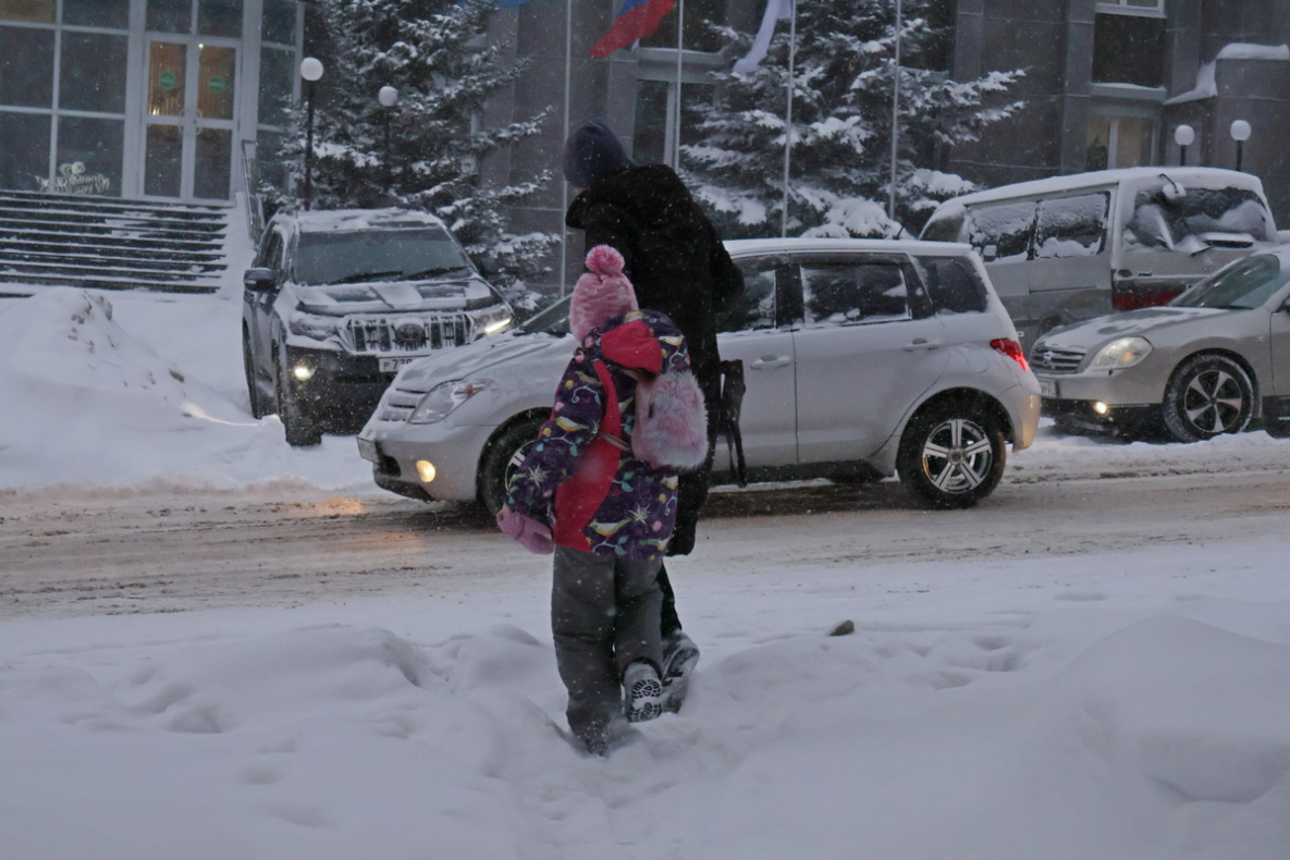 Хабаровские родители сегодня могут освободить детей от школы
