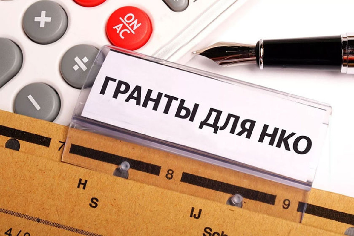 На социально ориентированные проекты НКО в Хабаровске выделят 3,5 млн рублей