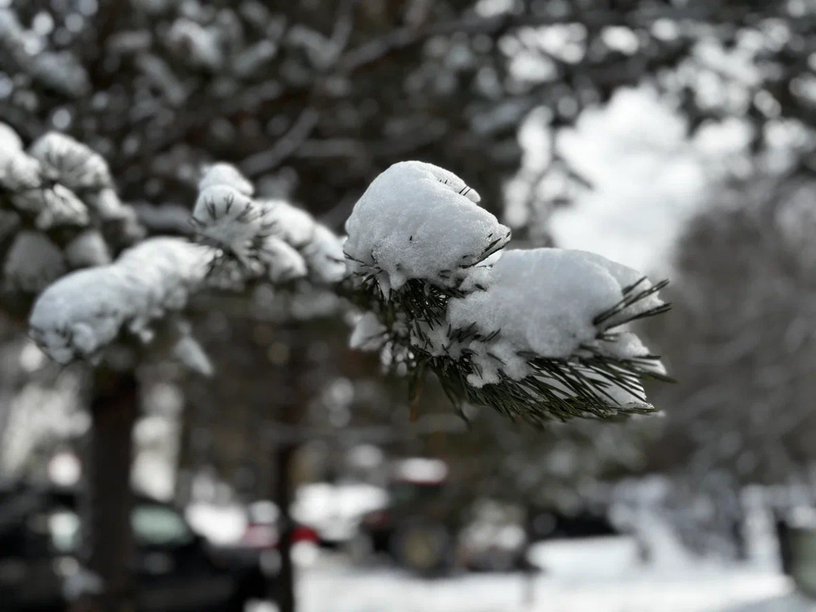 Праздники сегодня: Первый день зимы