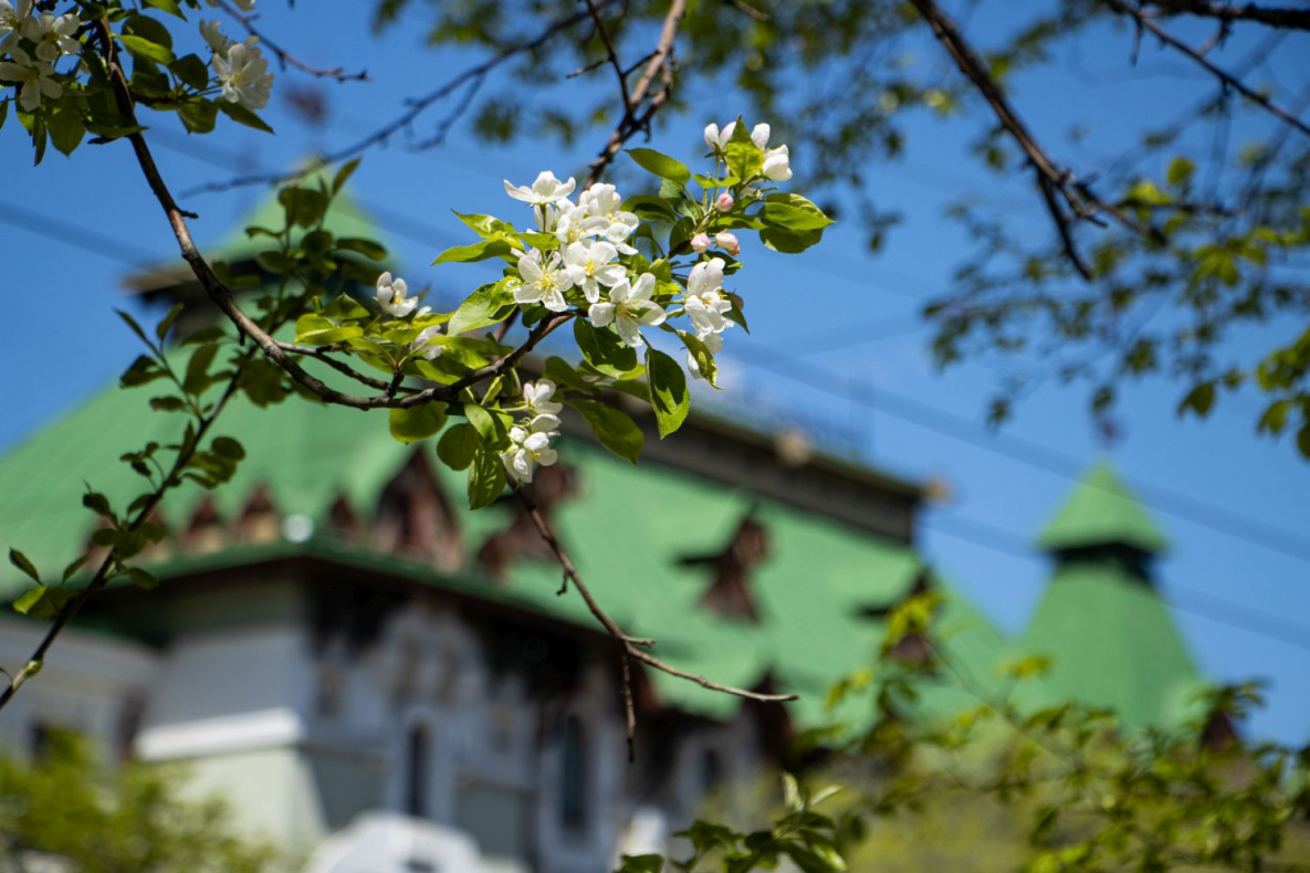 В выходные Хабаровский край ждёт прекрасная летняя погода