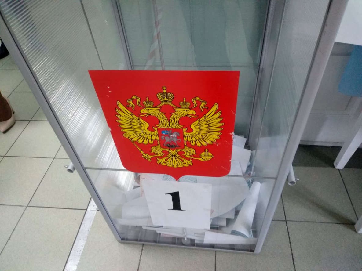 Пять районов Хабаровского края в декабре ждут новые выборы