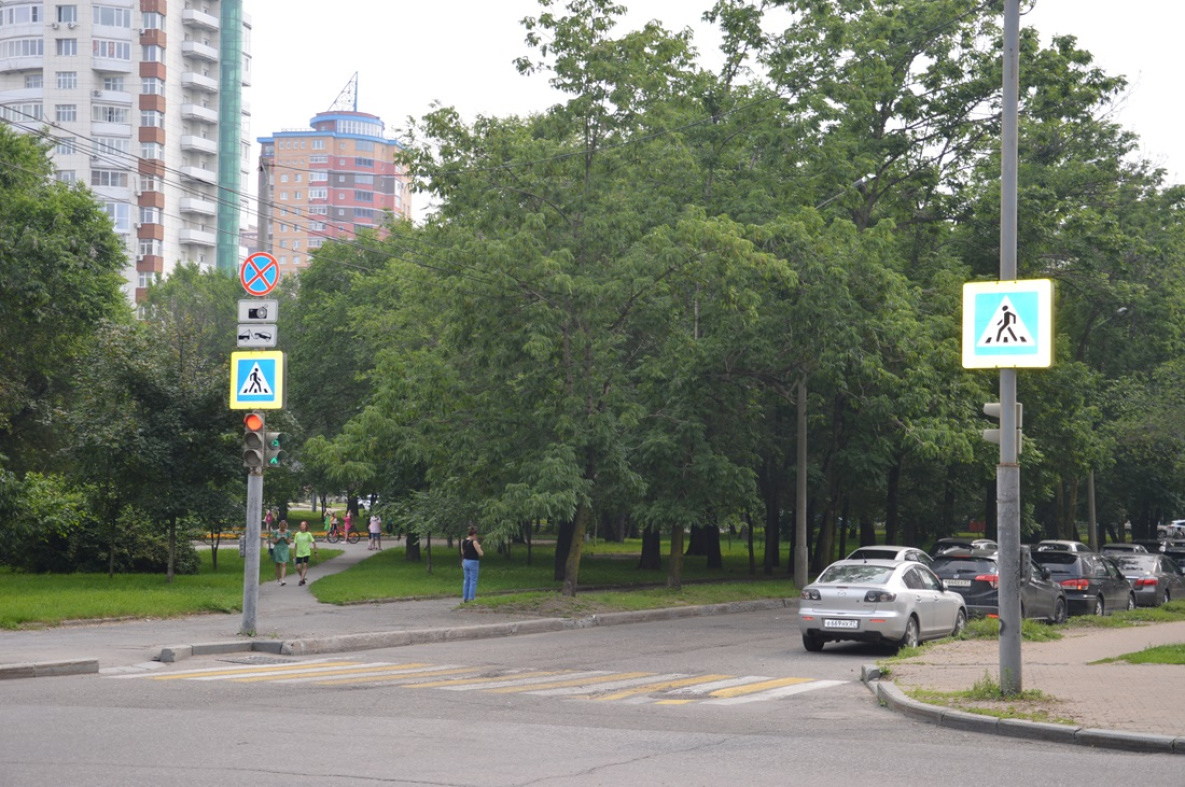 Автолюбители Хабаровска массово усложняют жизнь сами себе 