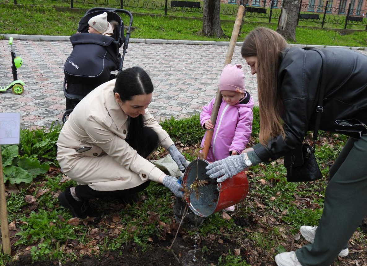 В Николаевске-на-Амуре родители подарили детям рябины