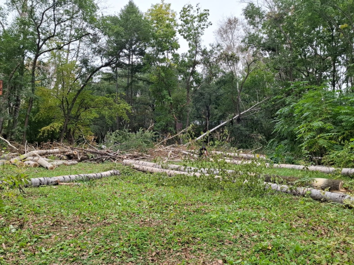 Новую многофункциональную спортплощадку строят в Комсомольске-на-Амуре 