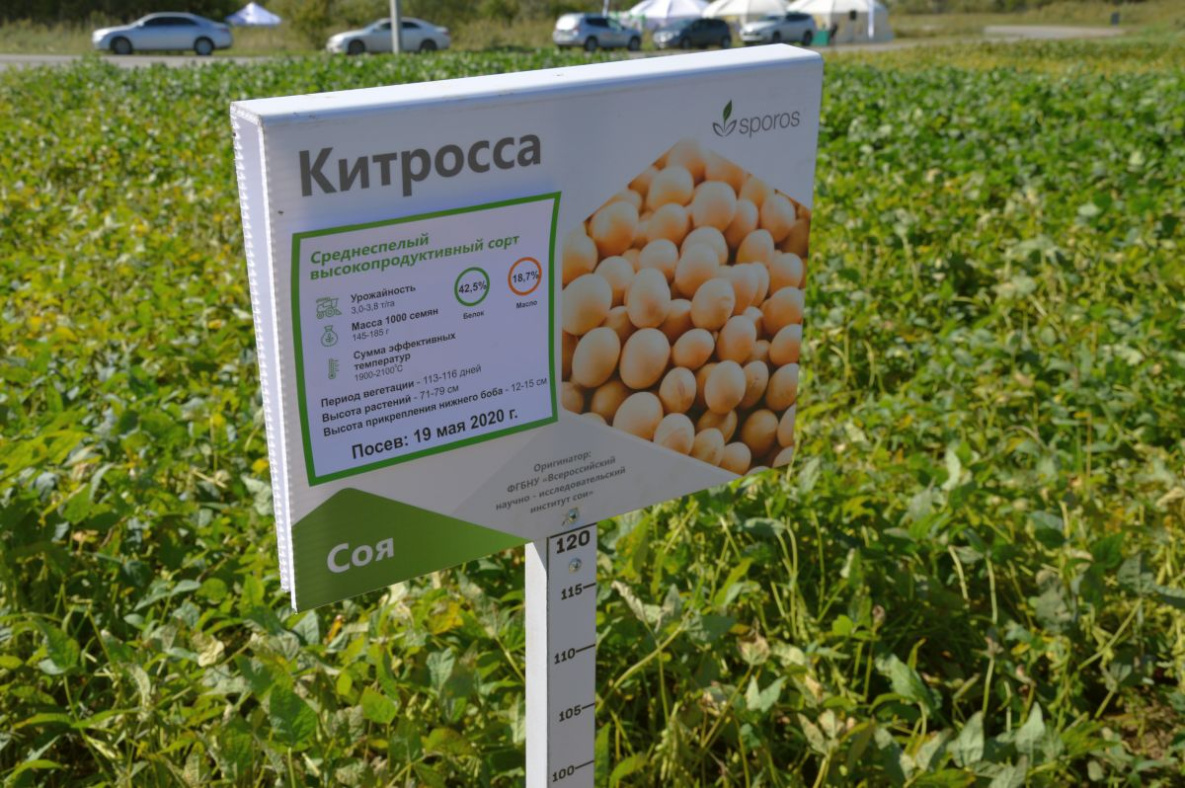 Список тем Всероссийского агродиктанта-2026 расширили