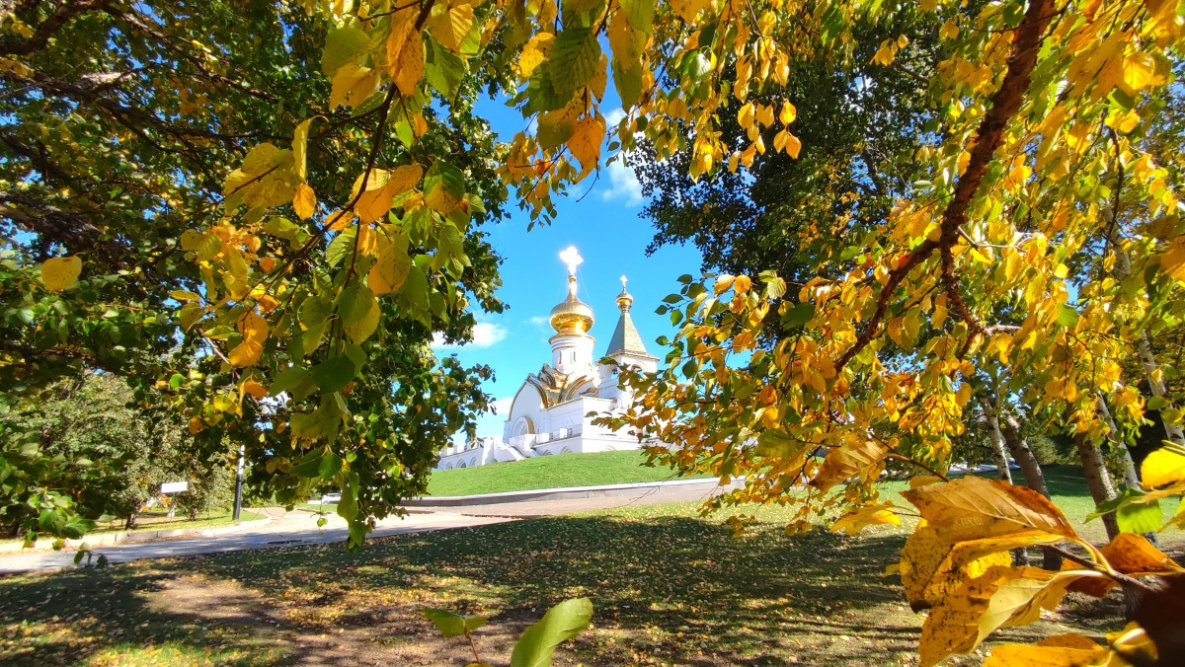 Золотая осень крадётся в Хабаровск