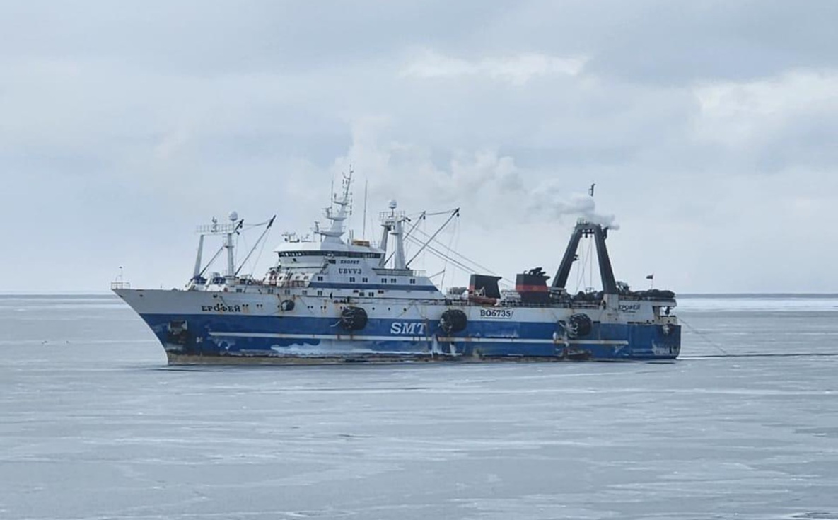 Промысловики нарастили объёмы вылова минтая в морях Дальнего Востока