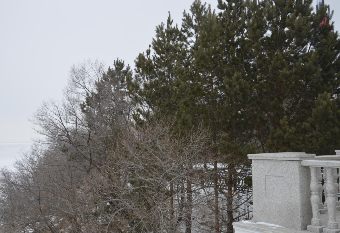 В Хабаровске 5 декабря потеплеет и усилится ветер