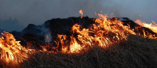 В Хабаровском крае растёт количество ландшафтных пожаров