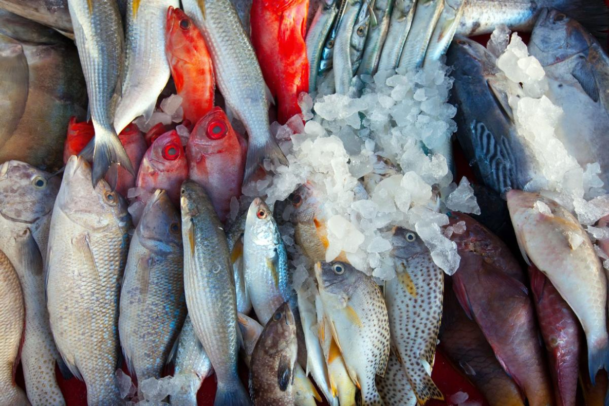 Россия ввела запрет на импорт рыбы из Японии