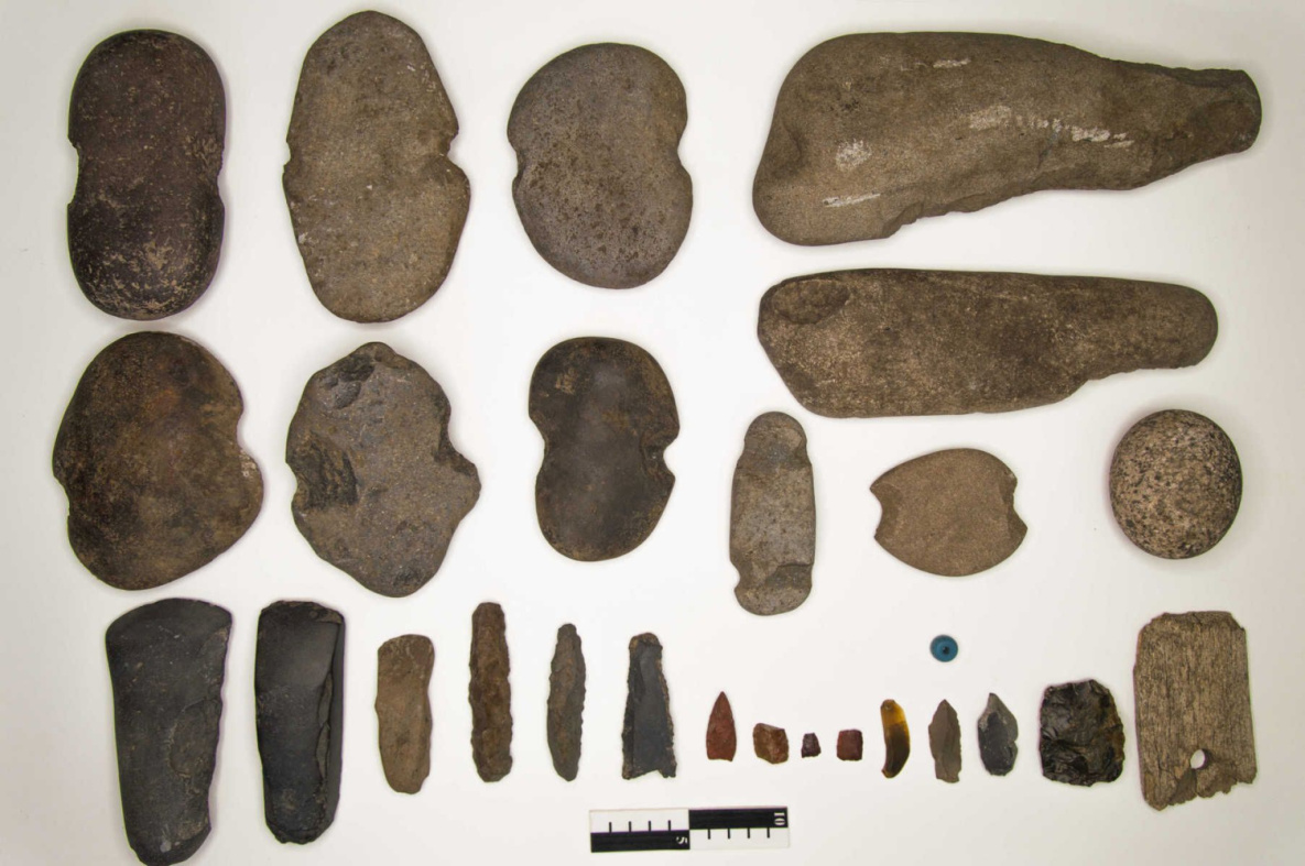 Археологи нашли артефакты времён неолита в самом центре Хабаровска
